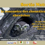 Sortie découverte, « A la rencontre des chouettes chevêches », à Sausheim (68), vendredi 26 juillet 2013