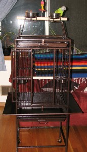Accessoire : les cages pour perroquets (forme, dimensions, matière)