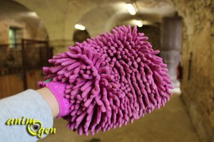 Pansage du cheval : brosses, cure-pied et autres accessoires indispensables