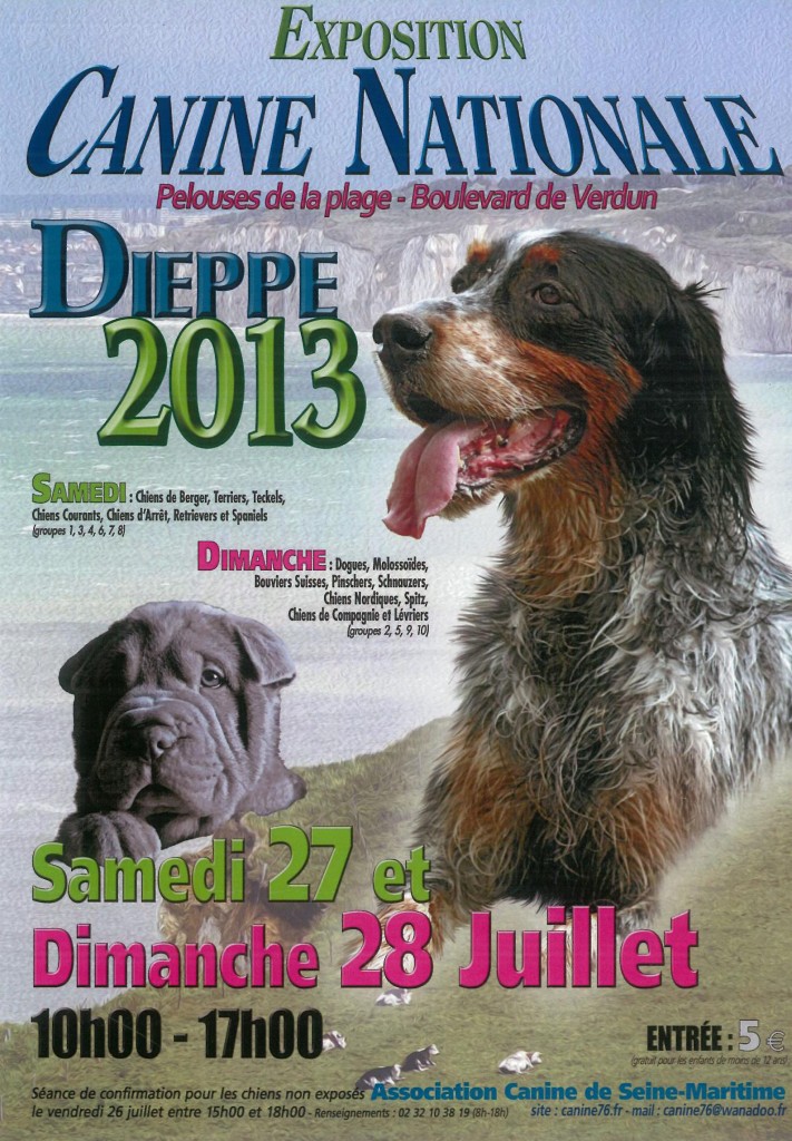 Exposition Canine Nationale à Dieppe (76), samedi 27 et dimanche 28 juillet 2013