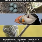 Exposition « L’œuf, le bec et la plume, les oiseaux de France » à la Chapelle en Vercors (26), du 10 juin au 17 août 2013