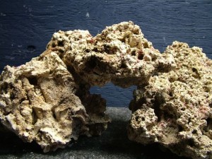 Quelles pierres et autres minéraux naturels choisir pour décorer un aquarium d'eau douce ?