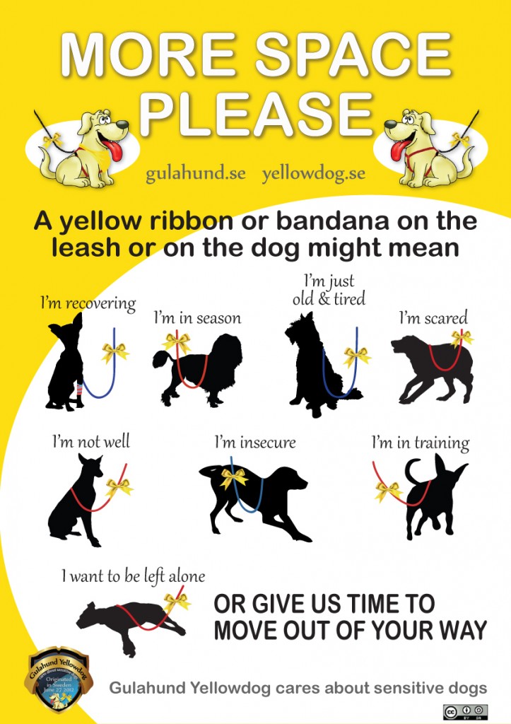 Le ruban jaune chez les chiens, un accessoire incontournable pour la sécurité de tous