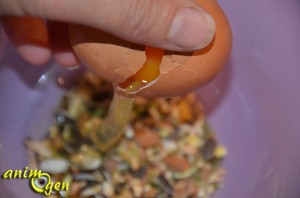 Alimentation : recette de gâteau aux fruits secs et frais pour rongeurs à faire soi-même