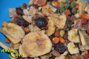 Alimentation pour perroquets : mélange de noix et fruits exotiques Tonicum (Versele Laga)