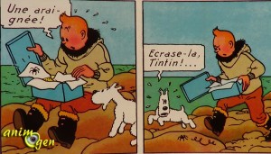 L'araignée dans Tintin