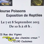 Bourse aux Poissons et Exposition de Reptiles à Coulaines (72), du samedi 07 au dimanche 08 septembre 2013