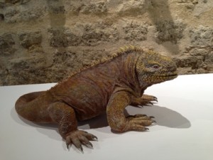 Exposition artistique animalière « Bestial » à Pézenas (34), du 01 er juin au dimanche 31 août 2013