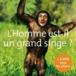Exposition «L’Homme est-il un grand singe ?» à Laval, du mardi 28 mai au dimanche 03 novembre 2013