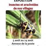 Exposition « Insectes et arachnides de nos villages » à Monaccia d’Aullène (Corse), du lundi 05 au samedi 24 août 2013