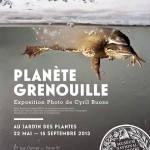 Exposition « Planète Grenouille » à Paris (75),  du mercredi 22 mai  au samedi 15 septembre 2013