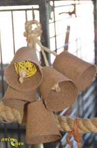 Jouet pour perroquet à fabriquer soi-même : mobile de cloches en carton et vigne