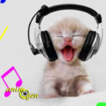 Santé et comportement : la musique est-elle relaxante pour les chats ?