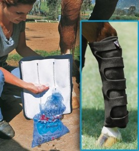 Equitation : rôle et importance des protections des membres pour le cheval
