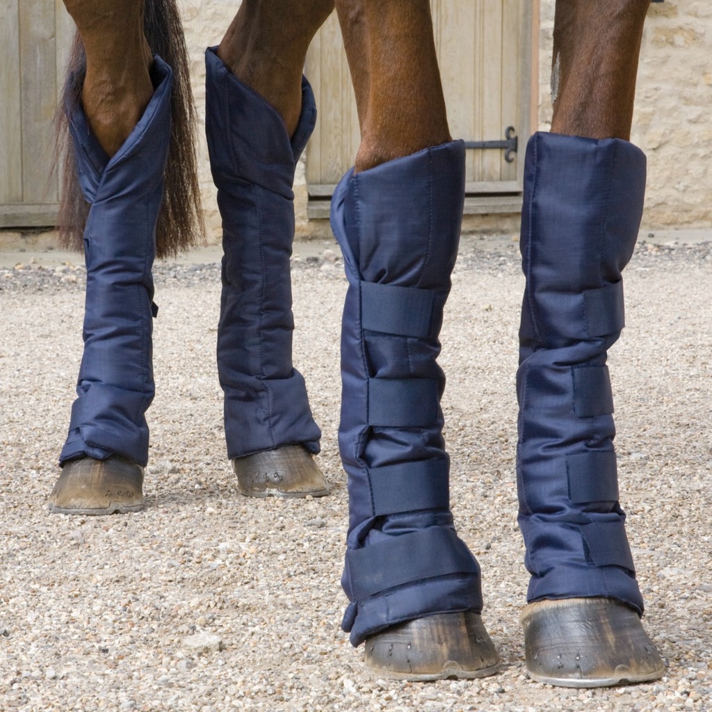 Equitation : rôle et importance des protections des membres pour le cheval