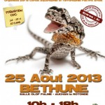 14 ème Bourse aux Reptiles à Béthune (62), dimanche 25 août 2013