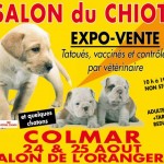 Le Salon du Chiot va ouvrir ses portes à Colmar, du samedi 24 au dimanche 25 août 2013