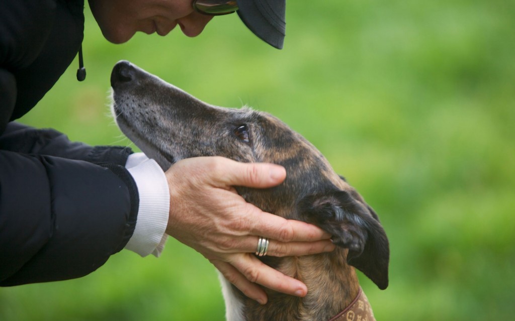 Comment les maîtres vivent-ils la séparation de leur chien durant les vacances ?