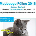 Exposition Féline à Maubeuge (59), le dimanche 29 septembre 2013