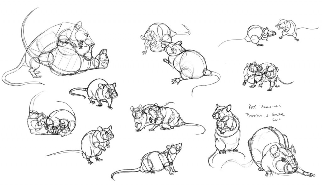 Apprenez à vos rats à jouer avec vous : le jeu de la bataille et la pirouette