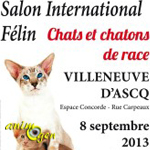 Bourse Féline à Villeneuve d’Ascq (59), le dimanche 08 septembre 2013