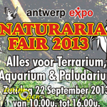 11 ème Bourse aux reptiles « Naturaria » à Anvers (Belgique), le dimanche 22 septembre 2013