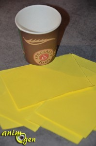Jouet pour perroquet à fabriquer soi-même : le gobelet mille-feuille
