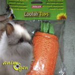 Jeu pour lapins, rongeurs et perroquets : carotte en loofah (Zolux)