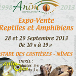 Expo-vente de Reptiles et Amphibiens à Nîmes (30), du samedi 28 au dimanche 29 septembre 2013