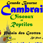Grande Bourse Oiseaux et Reptiles à Cambrai (59), du samedi 05 au dimanche 06 octobre 2013