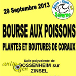 Bourse aux Poissons, plantes et boutures de coraux à Dossenheim-sur-Zinsel (67), le dimanche 29 septembre 2013