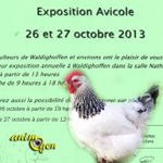 Exposition Avicole à Waldighoffen (68), du samedi 26 au dimanche 27 octobre 2013