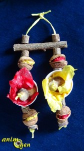 Jouet d'automne à suspendre pour nos perroquets, fabriqué avec des rondelles de noisetier et des coquilles de noix
