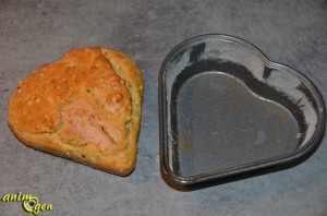 Alimentation, recette de biscuits aux graines pour oiseaux exotiques, pigeons et colombes