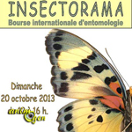 29 ème Bourse Internationale d’Entomologie « Insectorama » à Seraing (Belgique), le dimanche 20 octobre 2013