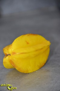 Alimentation : la carambole, un fruit étoilé pour nos perroquets