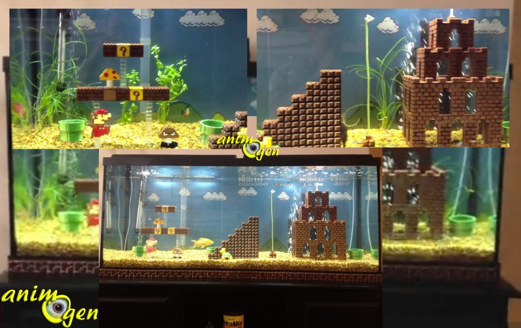 L'univers de Mario Bros dans un aquarium, pour les fans de jeux vidéos