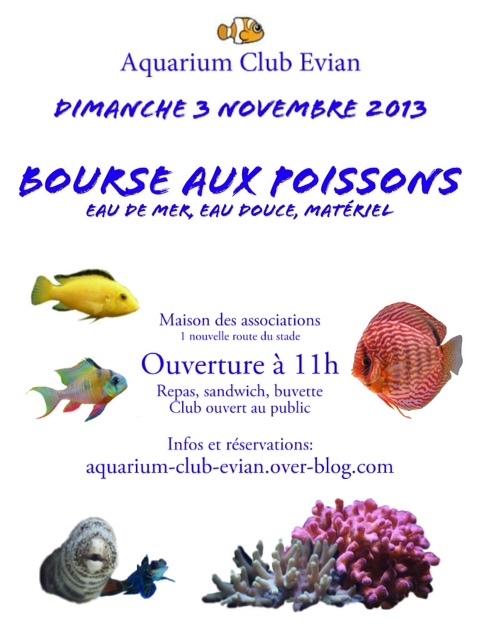 Bourse aux poissons à Evian les Bains (74), le dimanche 03 novembre 2013