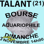 Bourse aquariophile à Talant (21), le dimanche 03 novembre 2013
