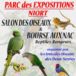 40 ème Salon des oiseaux et bourse aux NAC, reptiles, rongeurs à Niort (79), du samedi 09 au dimanche 10 novembre 2013