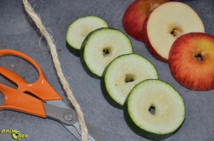 Alimentation : la farandole de pommes et courgettes, une note de fantaisie dans les repas de nos perroquets