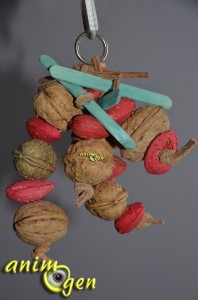Fabriquez un jouet pour vos perroquets avec des noix et des amandes