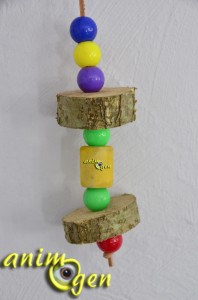 Fabriquer un jouet pour perroquet avec des tronçons de bois vert
