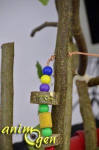 Fabriquer un jouet pour perroquet avec des tronçons de bois vert