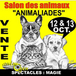9 èmes « Animaliades », Salon du Chiot et du Chaton à Pau (81), du samedi 12 au dimanche 13 octobre 2013