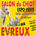 Salon du chiot à Evreux (27), du samedi 02 au dimanche 03 novembre 2013