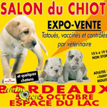 Salon du chiot à Bordeaux (33), du samedi 05 au dimanche 06 octobre 2013