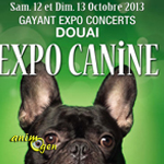 Expo Canine à Douai (59), du samedi 12 au dimanche 13 octobre 2013