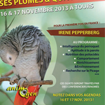 Les journées du perroquet (4 ème édition), Tours (37), du samedi 16 au dimanche 17 novembre 2013