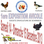 Exposition avicole à Schirmeck (67), du samedi 14 au dimanche 15 décembre 2013